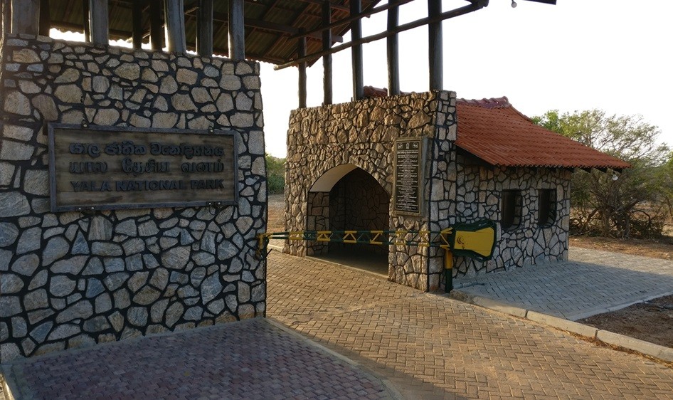 Yala National Park