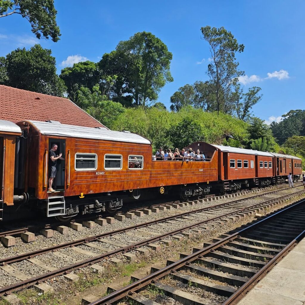 Calypso train