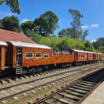 Calypso train
