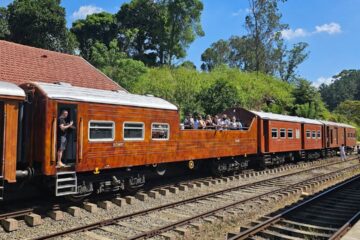 Calypso train